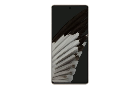 Google Pixel 7 Pro - 5G Smartphone - Dual-SIM - RAM 12 GB / Interner Speicher 128 GB - OLED-Display - 6.7` - 3120 x 1440 Pixel (120 Hz) - (0810029937443)