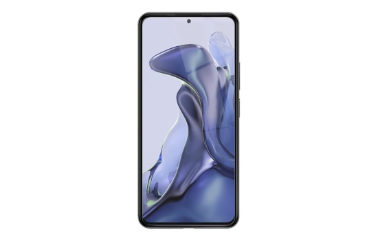 Artwizz SecondDisplay - Bildschirmschutz für Handy - (4260659975401)