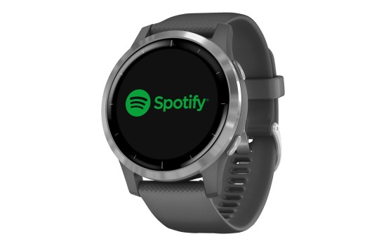 Garmin vívoactive 4 - 45 mm - Dunkelgrau - Sportuhr mit Band - Silikon - Shadow Gray - Handgelenkgröße: 135-200 mm - Anzeige 3.3 cm (1.3`) - (0753759227975)