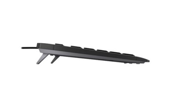 Cherry STREAM KEYBOARD TKL - Tastatur - USB - QWERTZ - (4025112097454)