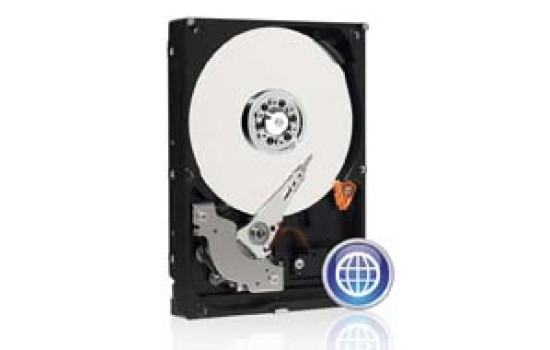 WD Blue WD10EZEX - Festplatte - 1 TB - intern - 3.5` (8.9 cm) - (0718037779911)