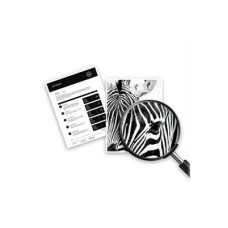 HP 912XL - 21.7 ml - Hohe Ergiebigkeit - Schwarz - (0192545866989)