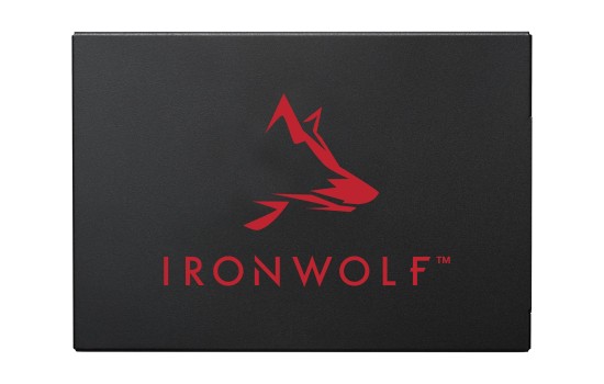 Seagate IronWolf 125 ZA250NM1A002 - SSD - 250 GB - intern - 2.5` (6.4 cm) - (8719706027113)