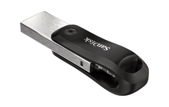 SanDisk iXpand Go - USB-Flash-Laufwerk - 256 GB - (0619659169947)