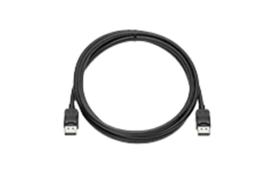 HP  Display-Kabelsatz - DisplayPort (M) zu DisplayPort (M) - (0884962395547)