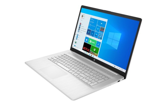 HP Laptop 17-cp0437ng - AMD Ryzen 3 5300U - Win 11 Home - Radeon Graphics - 8 GB RAM - 256 GB SSD NVMe, HP Value - 43.9 cm (17.3`) - (0196548286669)