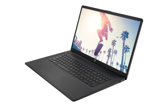 HP Laptop 17-cn0429ng - Intel Pentium Gold 7505 - FreeDOS 3.0 - UHD Graphics - 8 GB RAM - 256 GB SSD NVMe, HP Value - 43.9 cm (17.3`) - (0196548286652)
