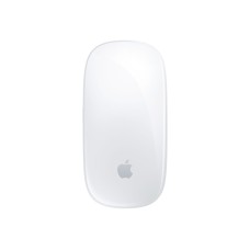 Apple Magic Mouse - Maus - Multi-Touch - kabellos - Bluetooth - für 11-inch iPad Pro; 12.9-inch iPad Pro; 10.9-inch iPad Air (4th generation) - (0194252542330)