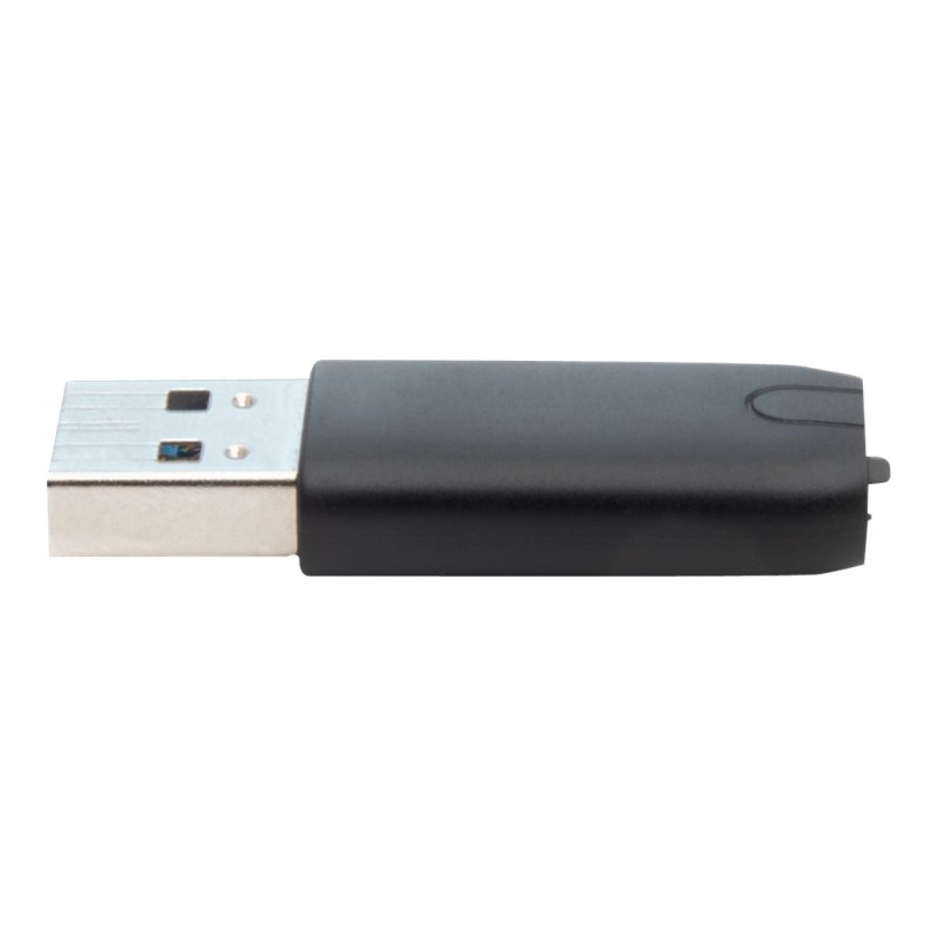 Micron Crucial - USB-Adapter - 24 pin USB-C (W) zu USB Typ A (M) - (0649528903648)