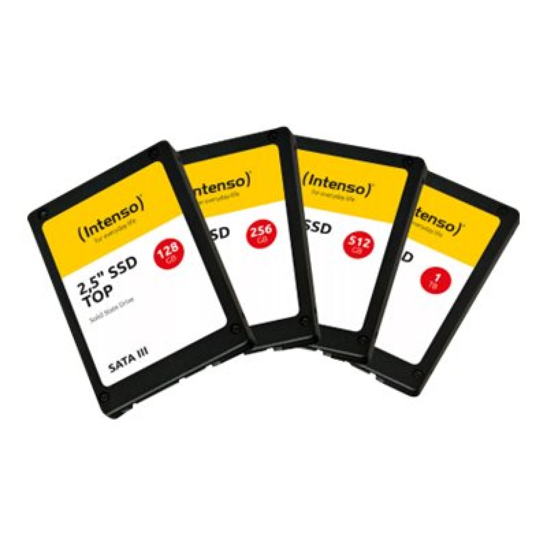 Intenso Top Performance - SSD - 1 TB - intern - 2.5` (6.4 cm) - (4034303028719)