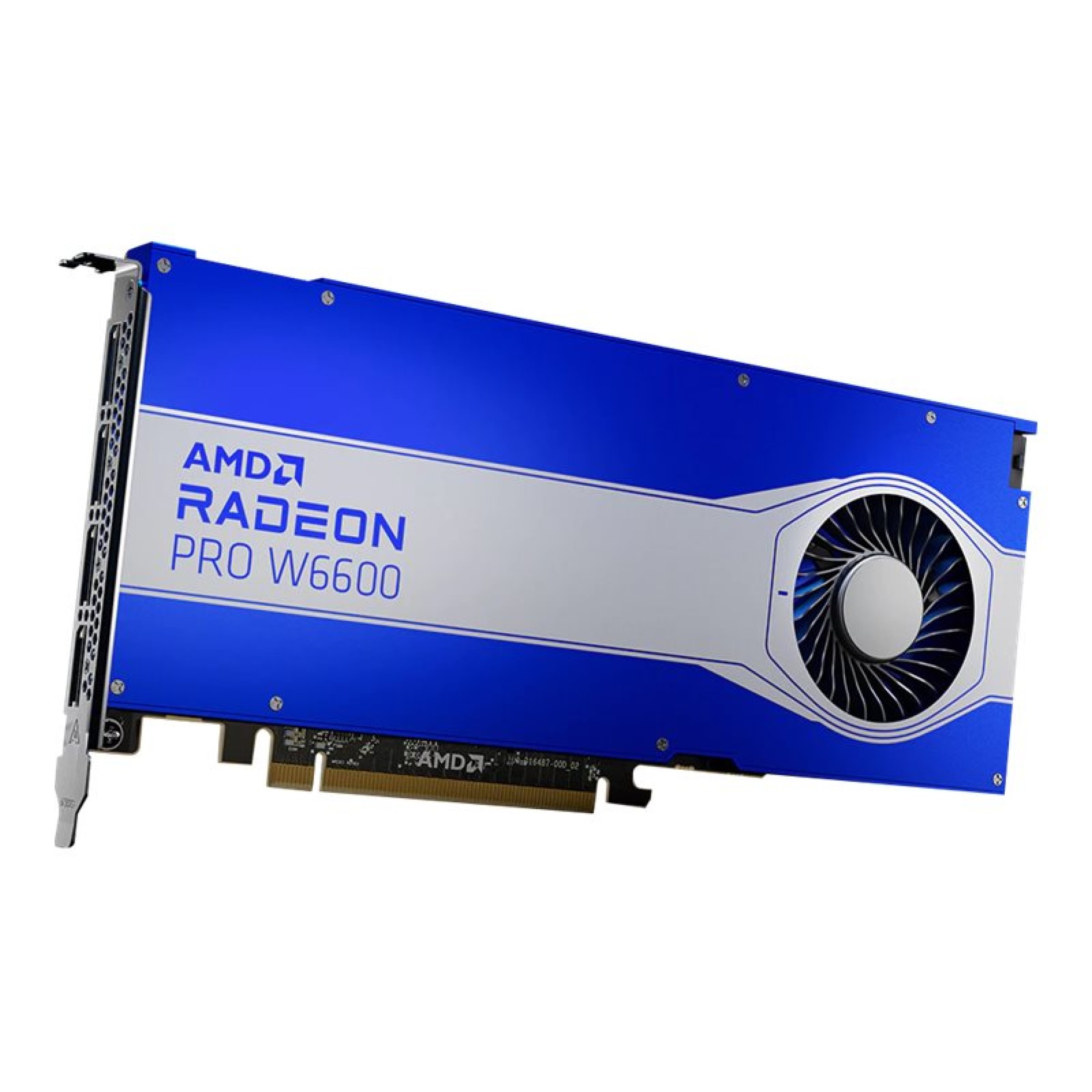 AMD Radeon Pro W6600 - Grafikkarten - Radeon Pro W6600 - (0727419313247)