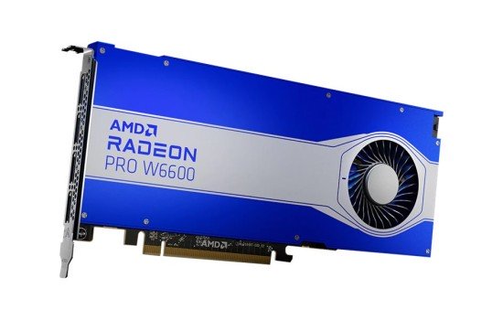 AMD Radeon Pro W6600 - Grafikkarten - Radeon Pro W6600 - (0727419313247)