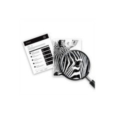HP 912XL - 21.7 ml - Hohe Ergiebigkeit - Schwarz - (0192545866989)