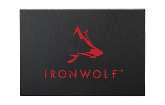 Seagate IronWolf 125 ZA1000NM1A002 - SSD - 1 TB - intern - 2.5` (6.4 cm) - (8719706027137)