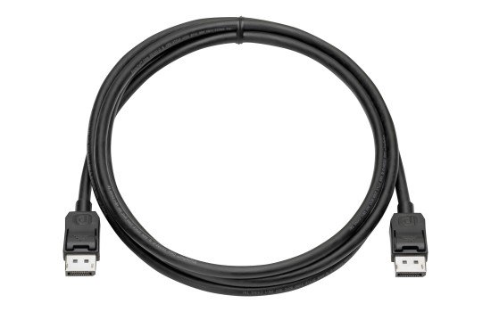 HP  Display-Kabelsatz - DisplayPort (M) zu DisplayPort (M) - (0884962395547)