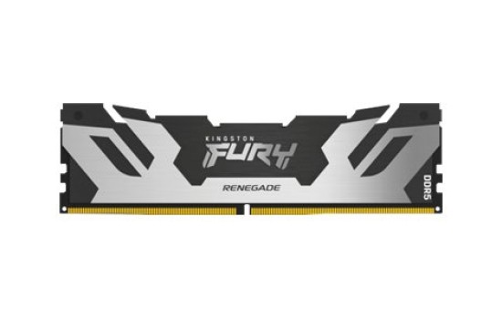 Kingston FURY Renegade Silver - DDR5 - Kit - 32 GB: 2 x 16 GB - (0740617329780)