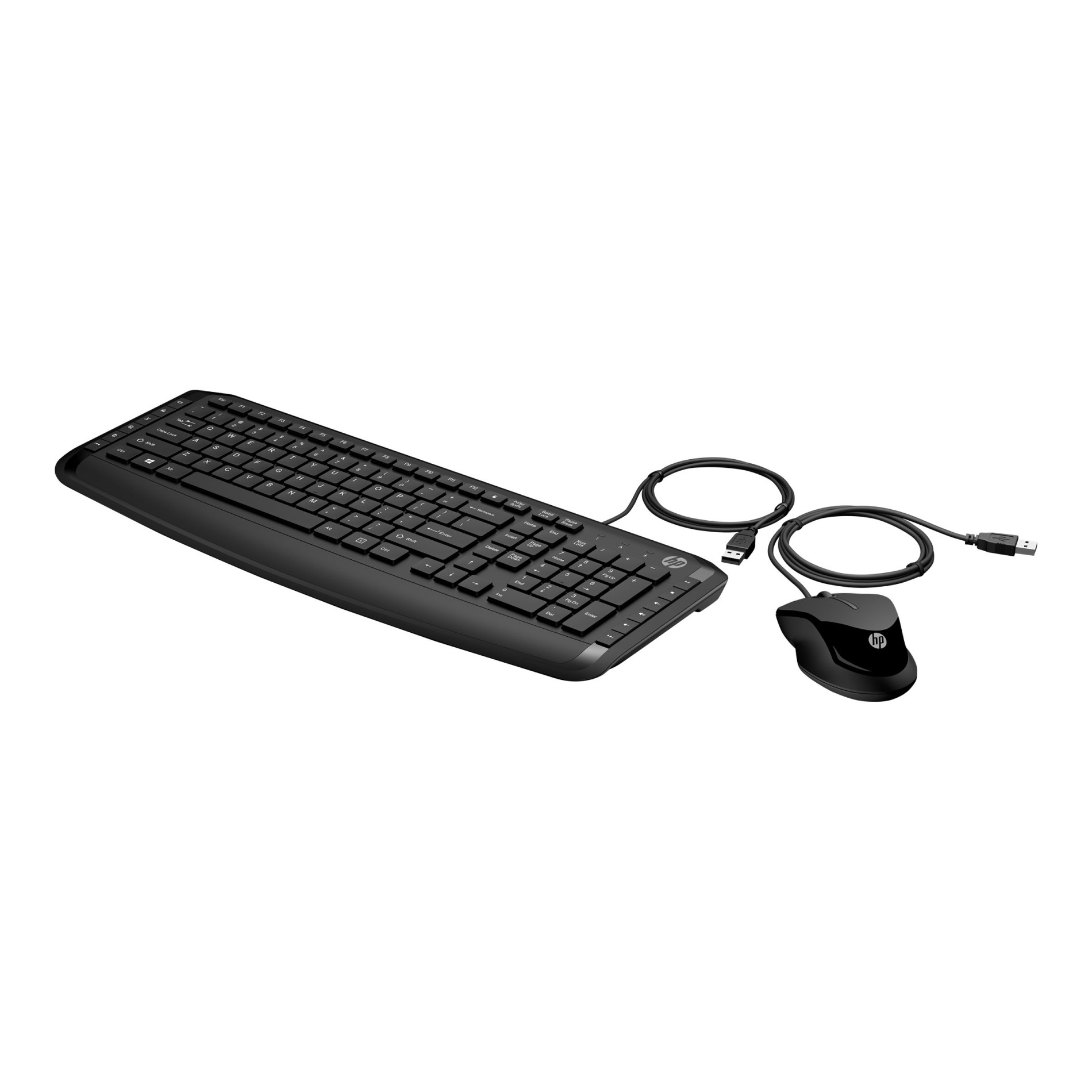 HP Pavilion 200 - Tastatur-und-Maus-Set - USB - (0194721396204)